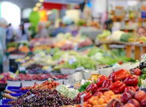alimentos