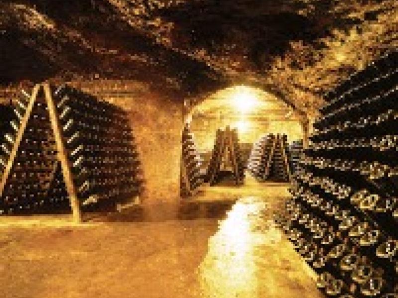 La «Larga Vida» de un vino
