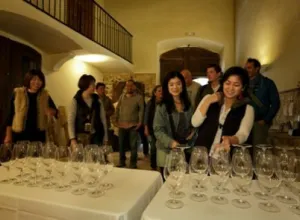 Terroir Al Límit y L'Infernal celebran su Fiesta de la Vendimia en un encuentro único y presentan sus nuevas añadas en Torroja del Priorat