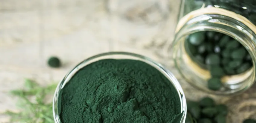 La Fiebre por el Alga Espirulina La Fiebre por el Alga Espirulina