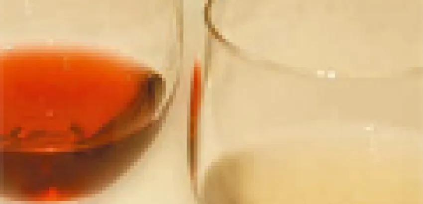 El vino, alimento y bebida del alma El vino, alimento y bebida del alma