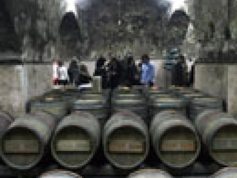 Bulgaria: Producción y exportación de vinos registra una drástica depresión
