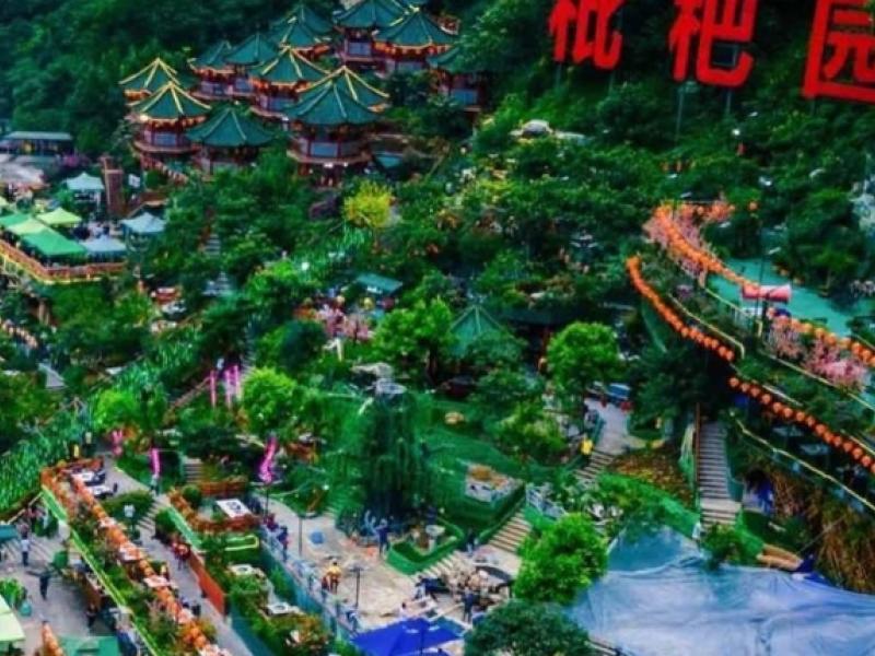 pipa-yuan