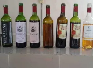 Asociación de Vinicultores de Cuba