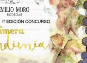 Los alumnos del IES José Jiménez Lozano y el Colegio Rural Agrupado (CRA) Antonio de Nebrija, son los ganadores de la Primera Edición del Concurso "Mi Primera Vendimia"