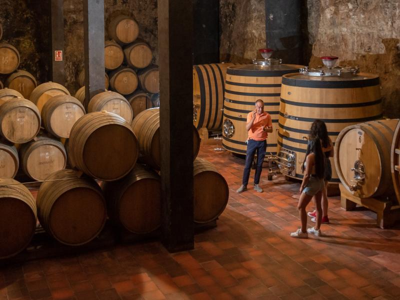 Ruta del Vino de Rueda