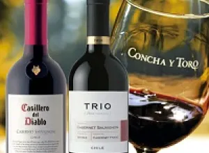 Concha y Toro mantiene posición como la segunda marca de vinos más poderosa del mundo