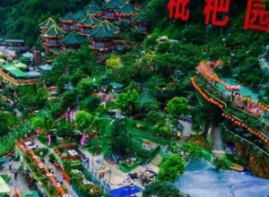 pipa-yuan