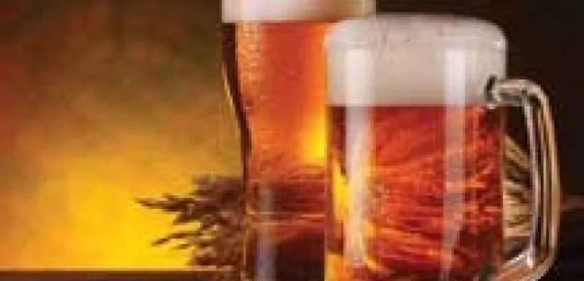 Las cervezas en la Gastronomía Las cervezas en la Gastronomía