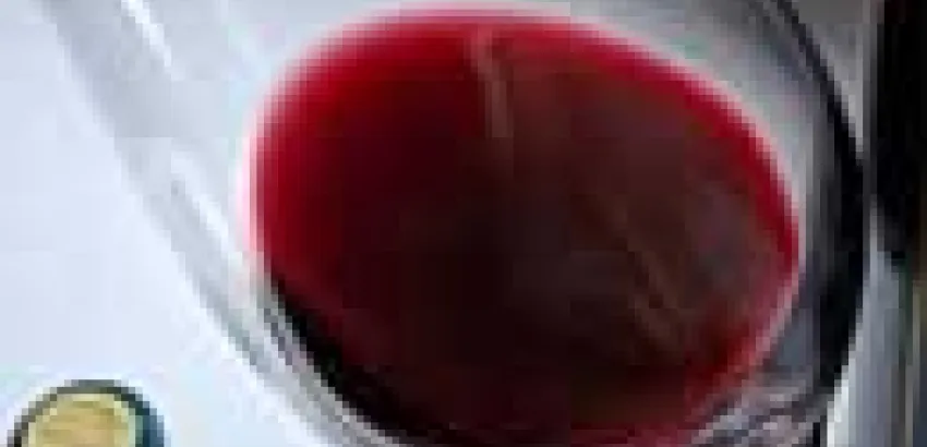 El vino francés podría desaparecer por el cambio climático El vino francés podría desaparecer por el cambio climático