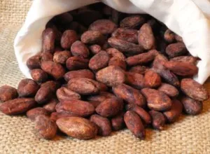El chocolate, un sabor diferente en la cocina cubana