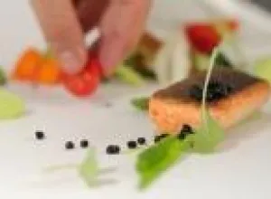 Programa General para gourmets