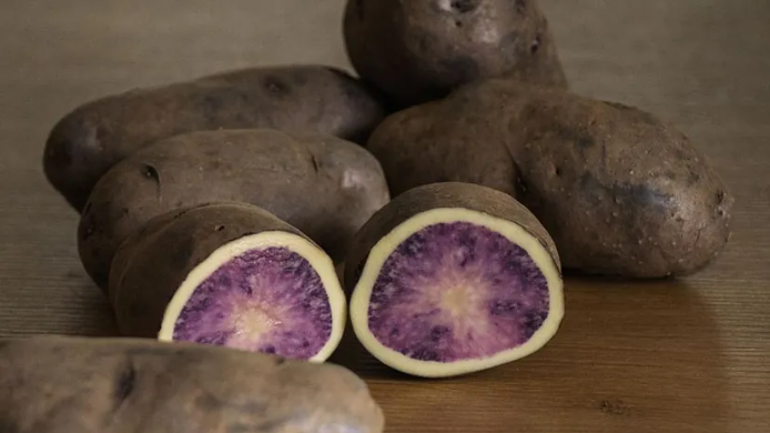 Patatas Atsegiñe de piel oscura y pulpa morada cortadas sobre una mesa de madera, nueva variedad vasca rica en antioxidantes desarrollada para chips premium.