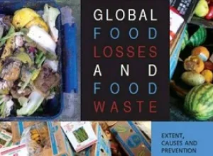 Un tercio de los alimentos a nivel mundial se pierden o desperdician