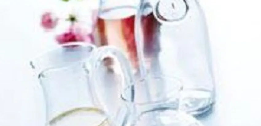 10 preguntas sobre los vinos biológicos o ecológicos 10 preguntas sobre los vinos biológicos o ecológicos