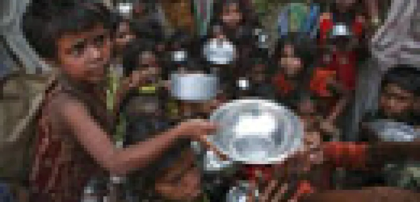 La FAO dedicará más de mil millones de dólares para combatir el hambre La FAO dedicará más de mil millones de dólares para combatir el hambre