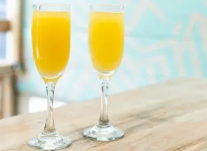 mimosa 