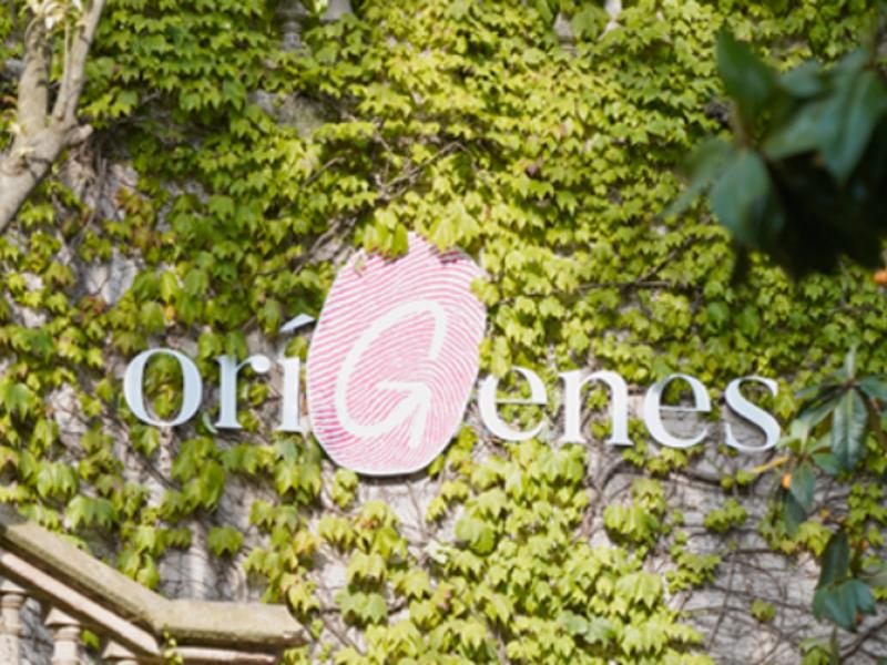 origenes