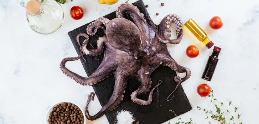 pulpo pulpo