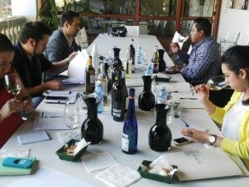Cinco profesionales mexicanos visitan estos días la D.O. Rías Baixas 