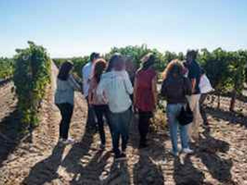 El 30% de los enoturistas españoles quiere visitar la Ruta del Vino de Rueda