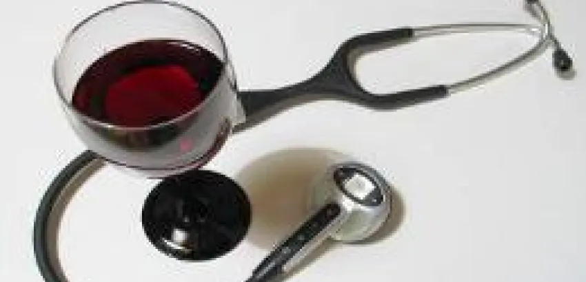El Milagro del Vino El Milagro del Vino