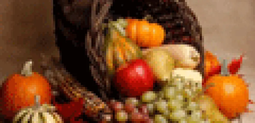Europa: Alimentos 'bio' envasados deberán llevar un sello que los identifique Europa: Alimentos 'bio' envasados deberán llevar un sello que los identifique