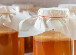 kombucha de vino