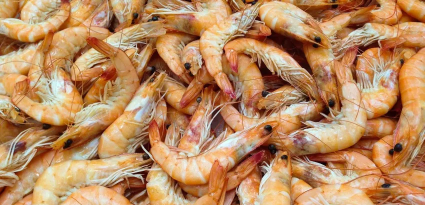 Feria Gastronómica y Ruta del Marisco Tepeaca, Cuaresma 2023