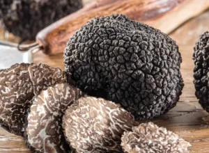 La ruta gastronómica "Descubre la Trufa"