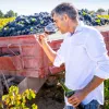 Sello de la bodega