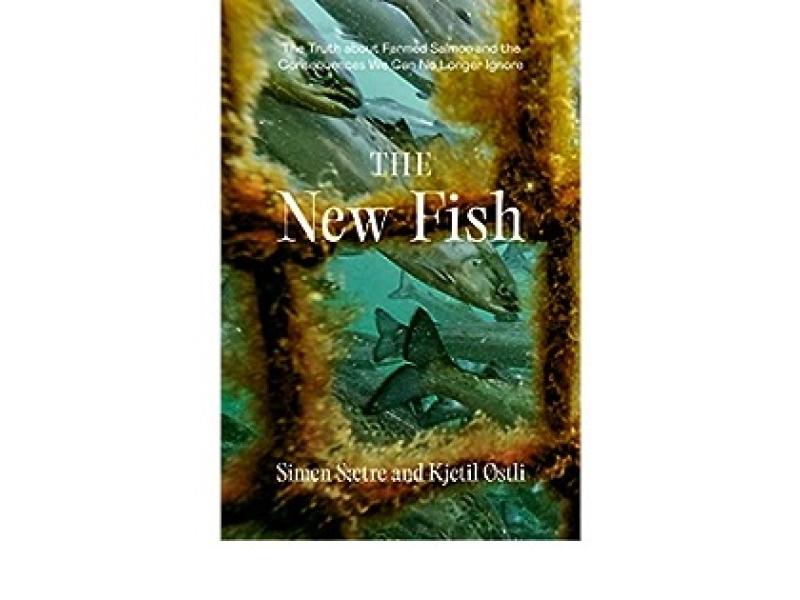The new Fish