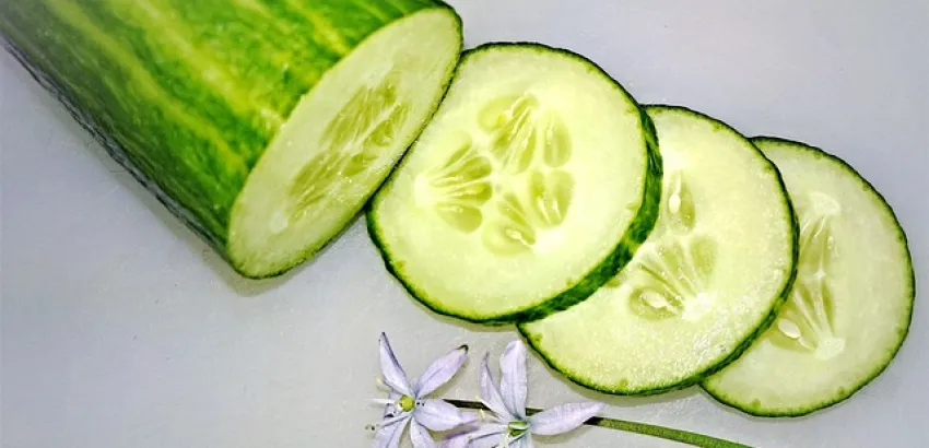 pepino pepino