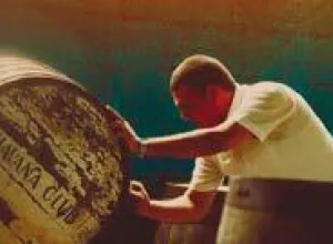 Ron cubano, hijo de la tradición