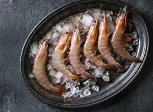 gamba