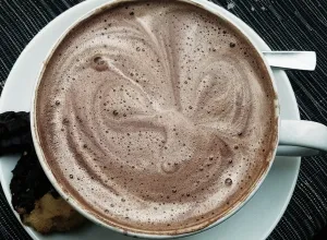 chocolate caliente vegano