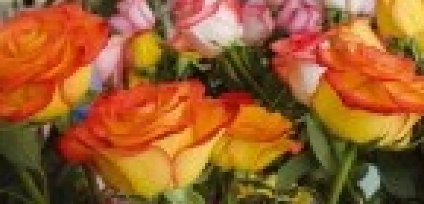 El lenguaje de las Flores