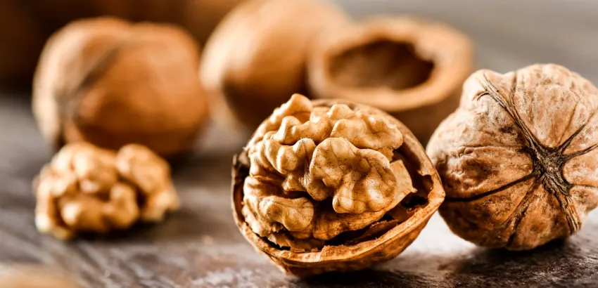 nueces