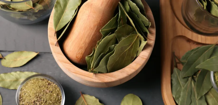 El laurel es un ingrediente muy versátil que caracteriza la gastronomía mediterránea desde la historia antigua laurel gastronomía mediterránea