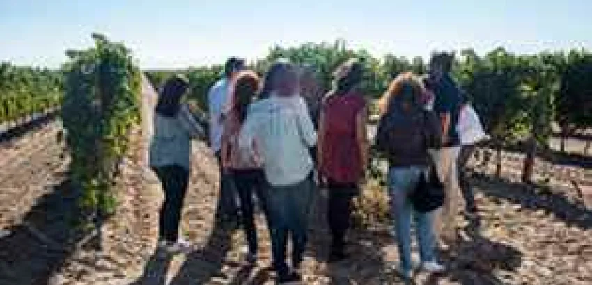 El 30% de los enoturistas españoles quiere visitar la Ruta del Vino de Rueda El 30% de los enoturistas españoles quiere visitar la Ruta del Vino de Rueda