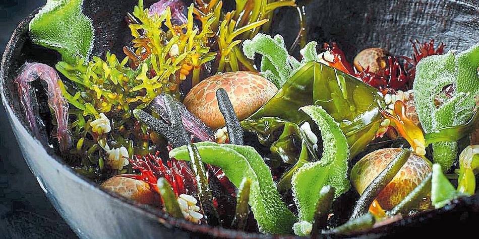 En el restaurante El Invernadero (una estrella Michelin), Rodrigo de la Calle desarrolla su propuesta de gastrobotánica.