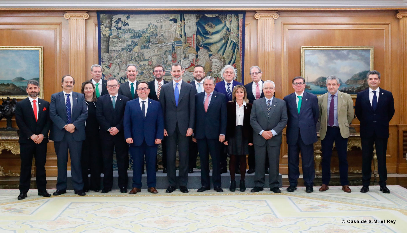 FEHR-audiencia-Rey-Don-Felipe