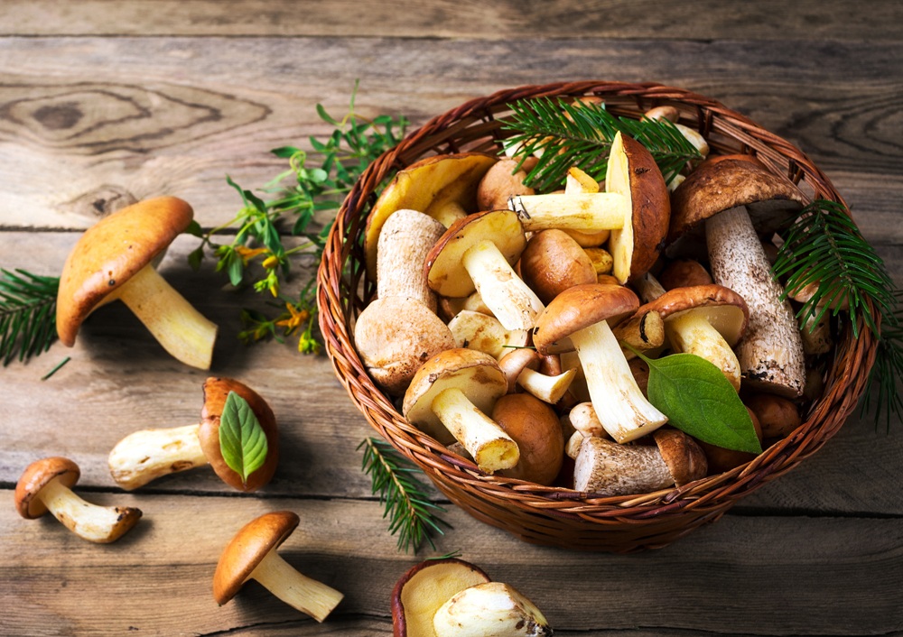  Soria Gastronomica-2018