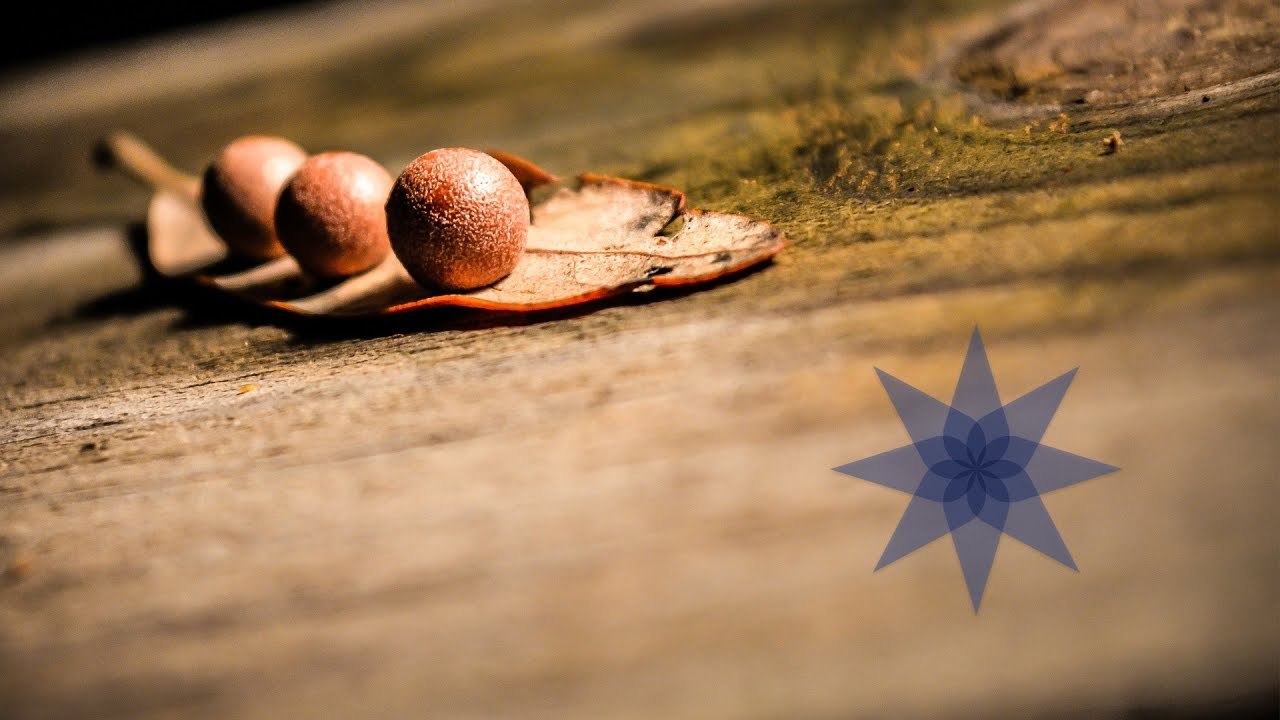 Basque Culinary World Prize-2019