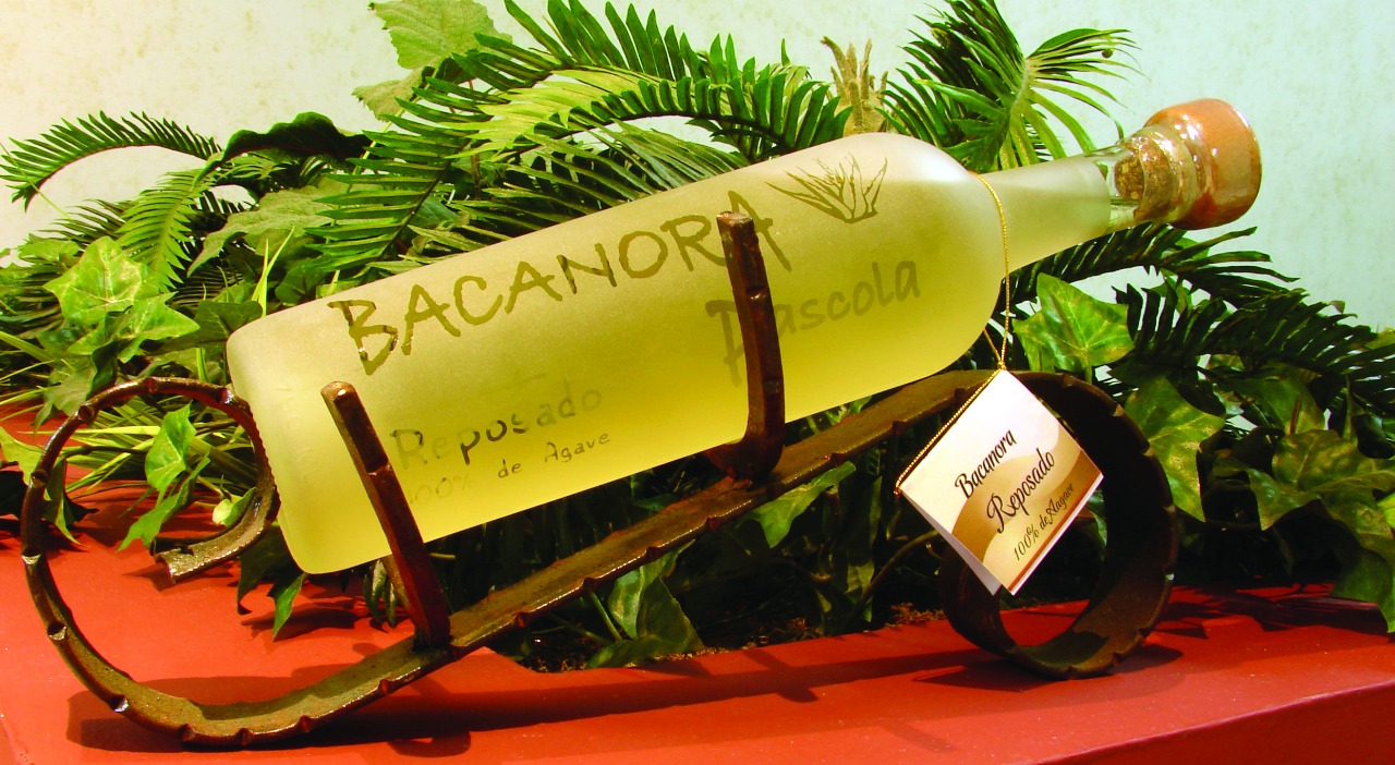 bacanora