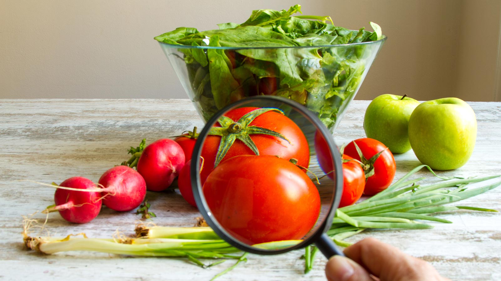 inocuidad-alimentaria 