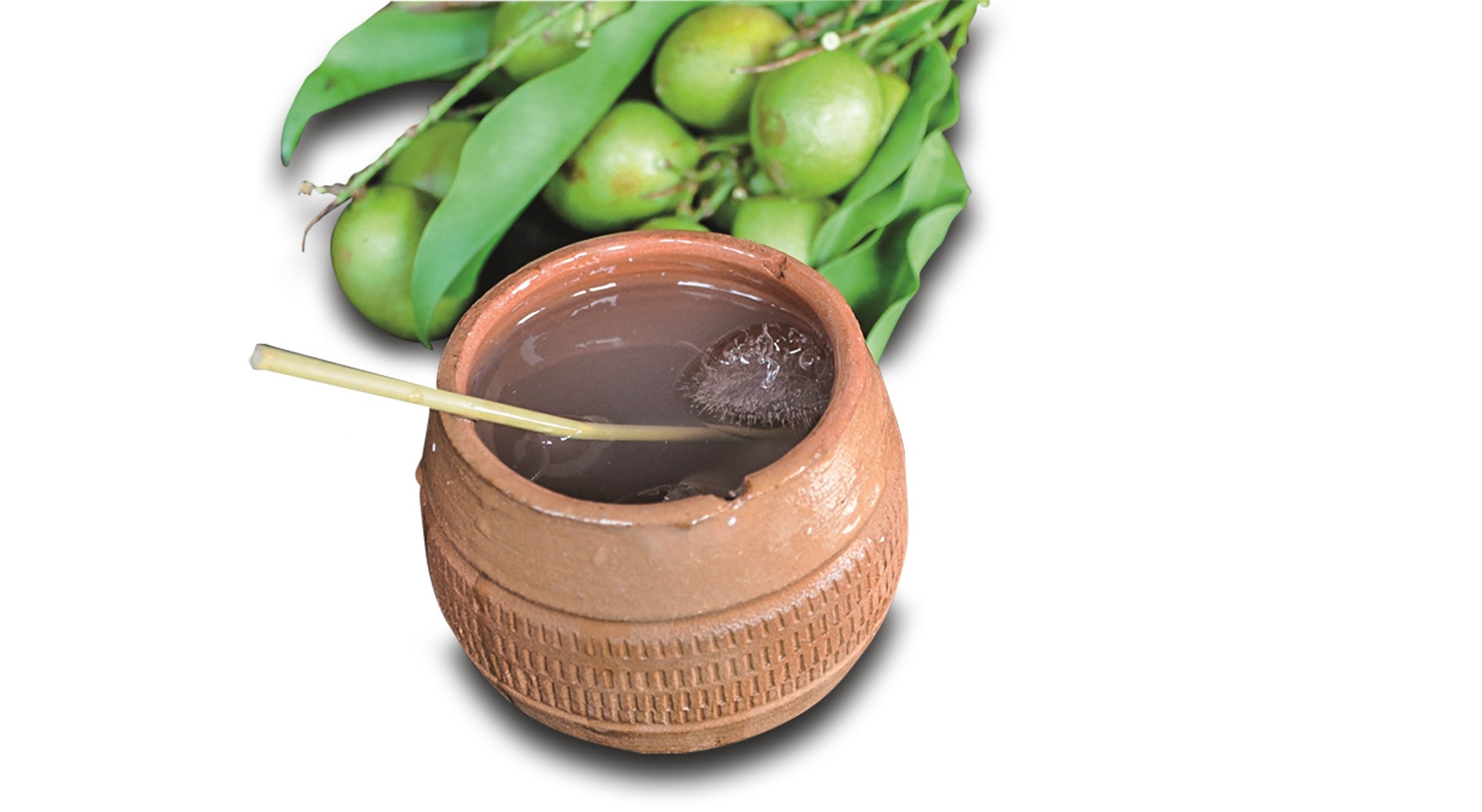 miel-cocteles-canchanchara 