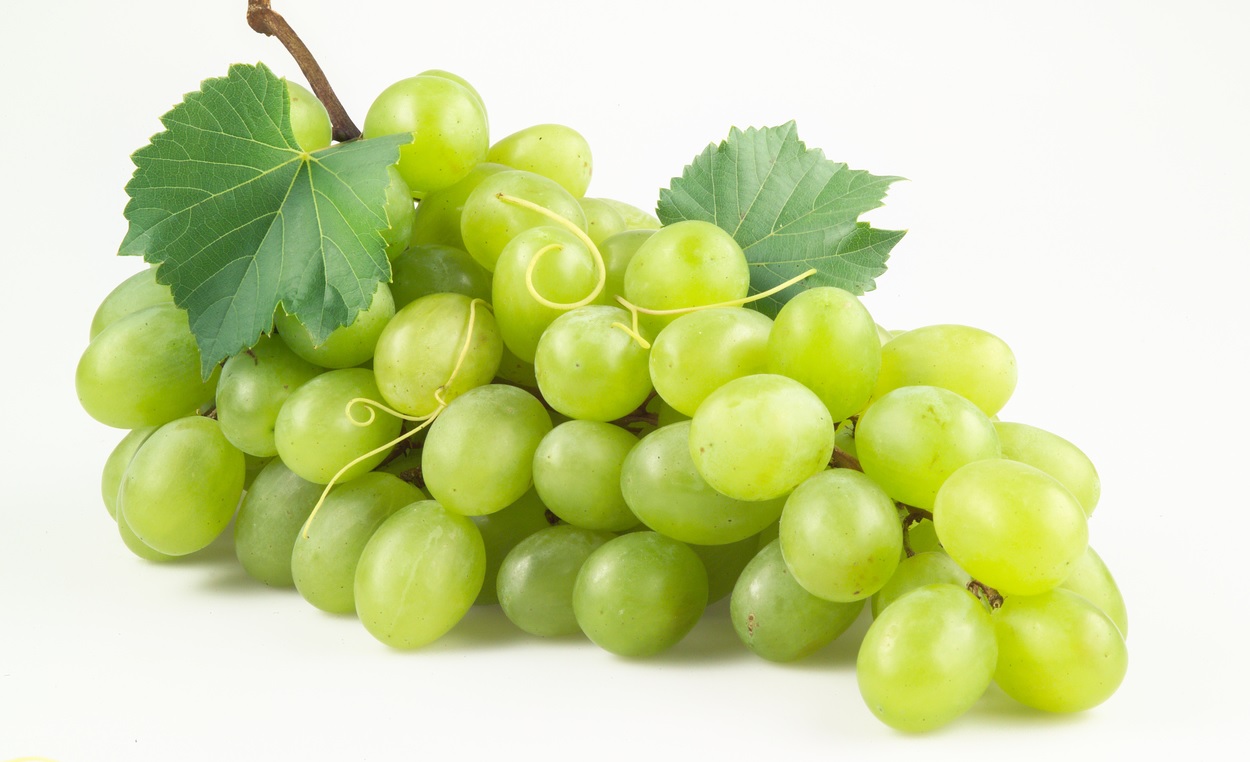 Uva moscatel