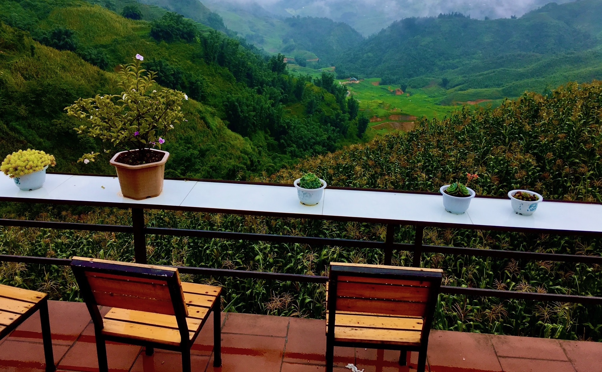 destino gastronomico 