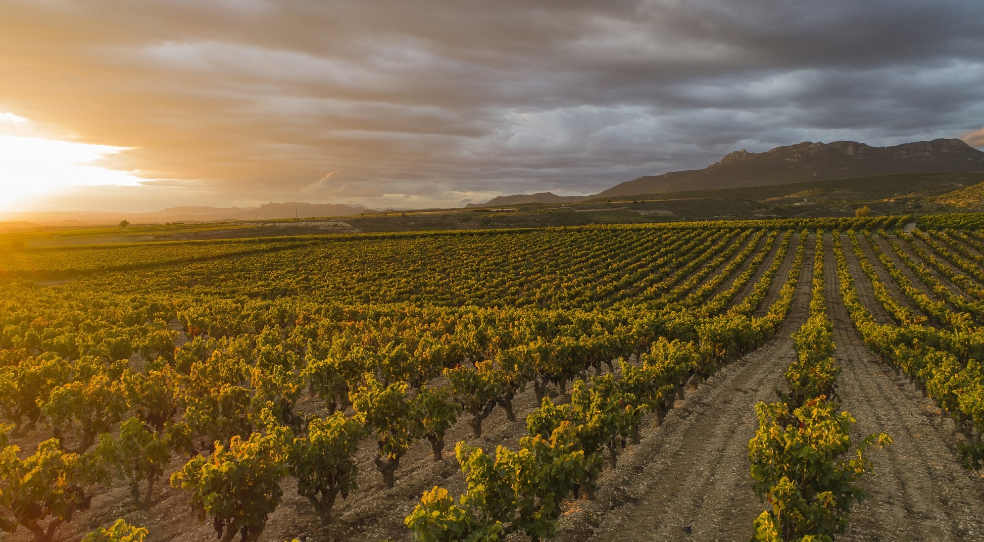 Conferencia Mundial sobre Turismo Enológico-La Rioja-sede